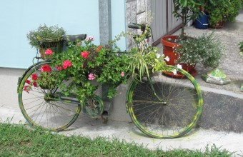 20126794516.jpg