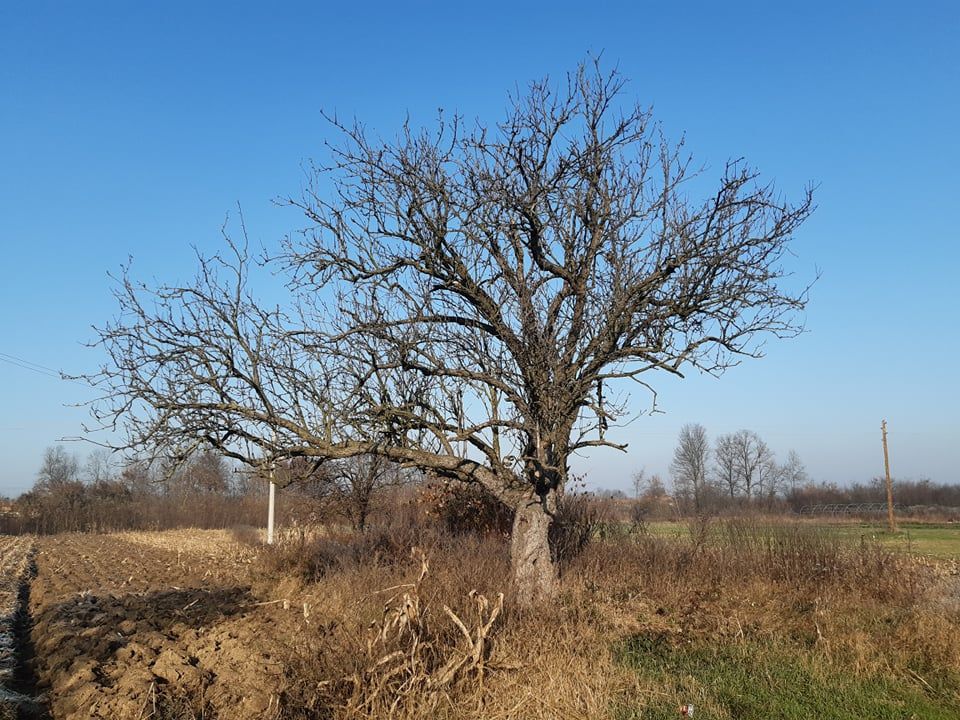 Foto: Glas Podrinja