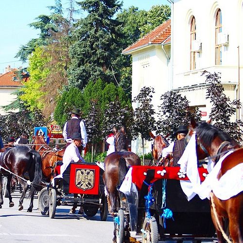 ГОЗБЕ ЧУВАЈУ ОБИЧАЈ