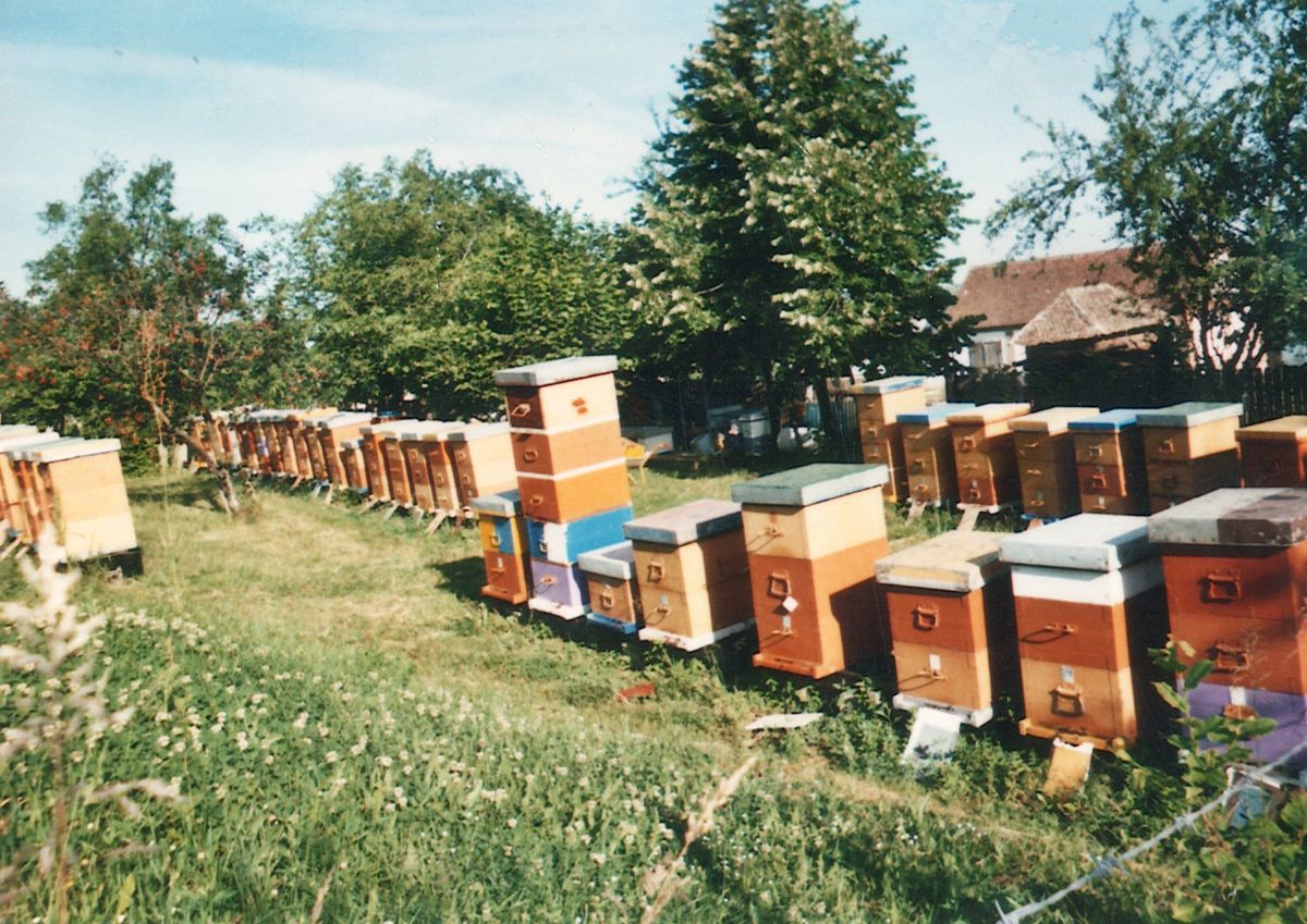 Фото: Пчелари ДП Шабац