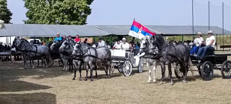 Сусрет заљубљеника у фијакере