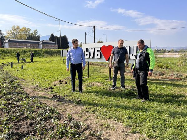 Ozelenjavanje Ljubovije