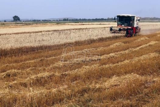 Tanasković: Do kraja nedelje poljoprivrednicima ugovori za projekte od 20 milina evra
