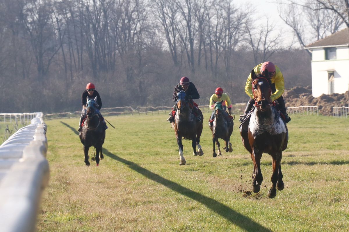 Radni prvi januar za grla, džokeje, vlasnike i trenere (foto: Glas Podrinja)