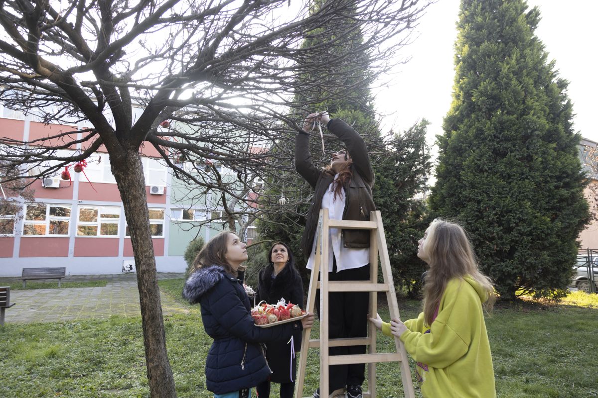 Pomažemo pticama u hladnim danima