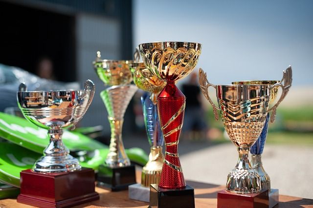 Улог трофеји и државна завршница (фото: Pixabay)