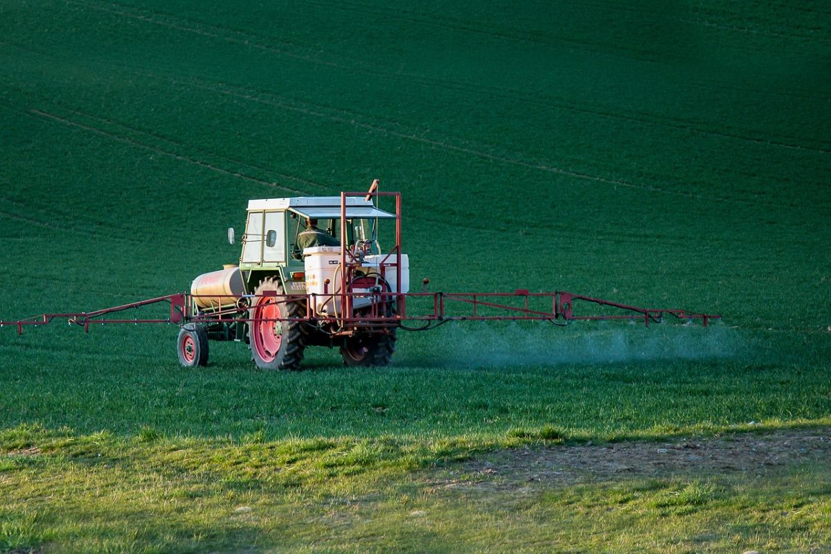 Štetnost pesticida