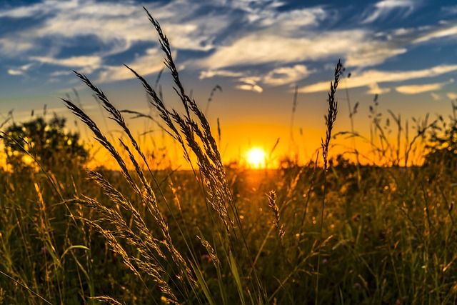 Predavanje na temu novog pravilnika (foto: Pixabay)