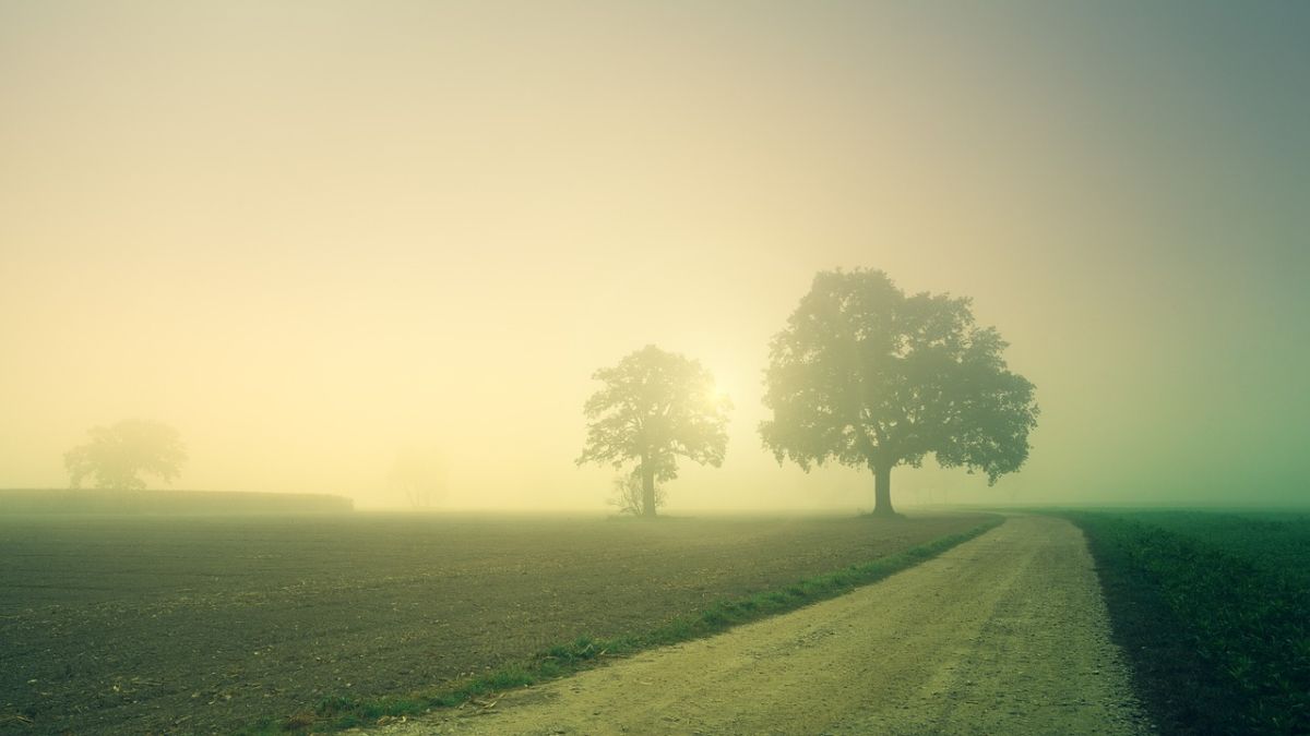 Foto: Pixabay