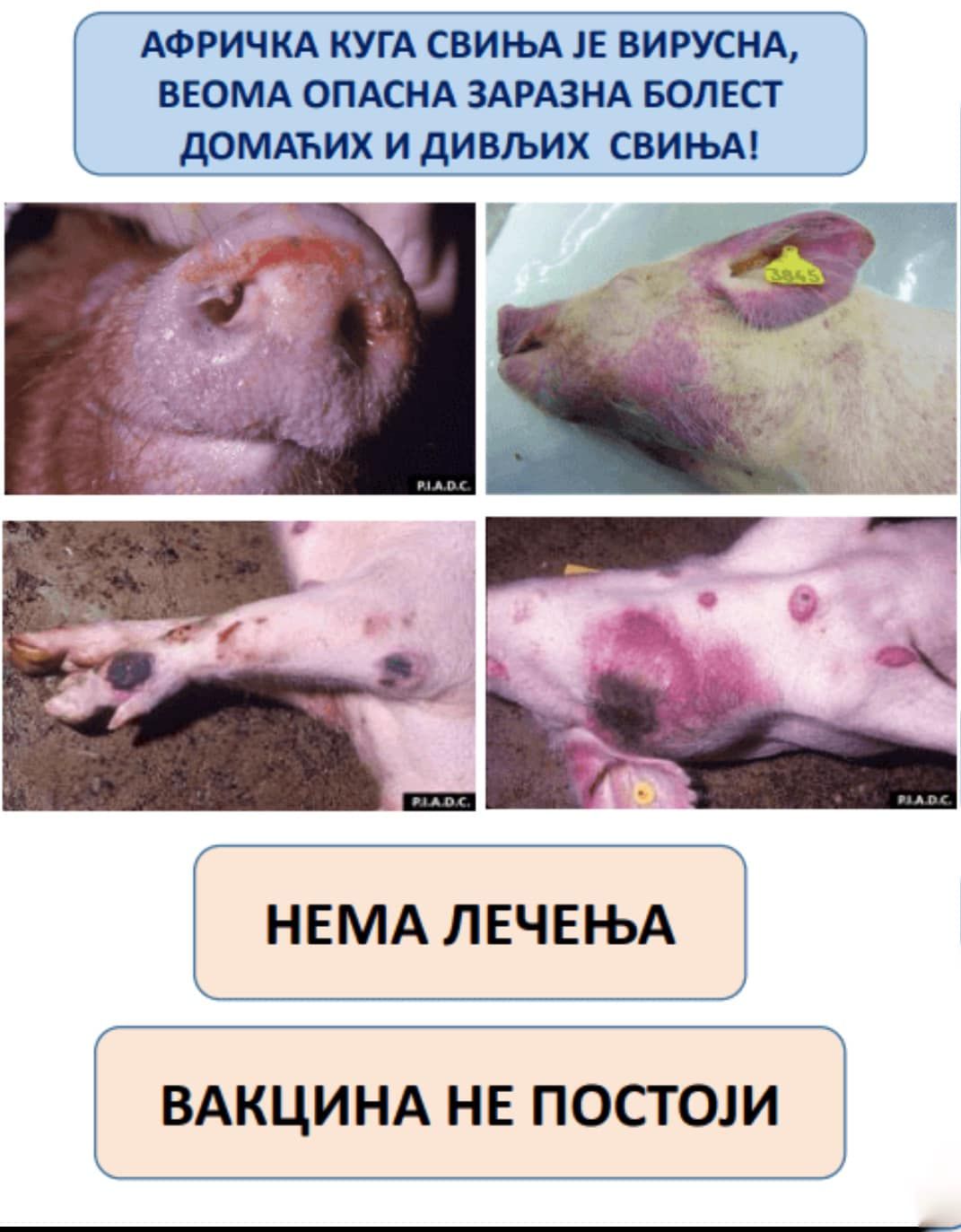 У Богатићу апелују на пољопривреднике да сарађују са ветеринарском инспекцијом