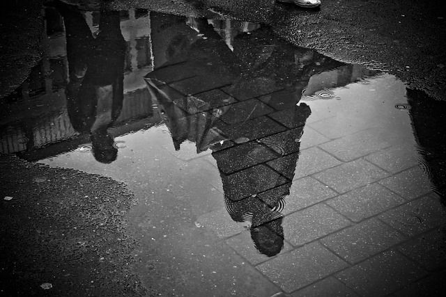 Image by 652234 from Pixabay