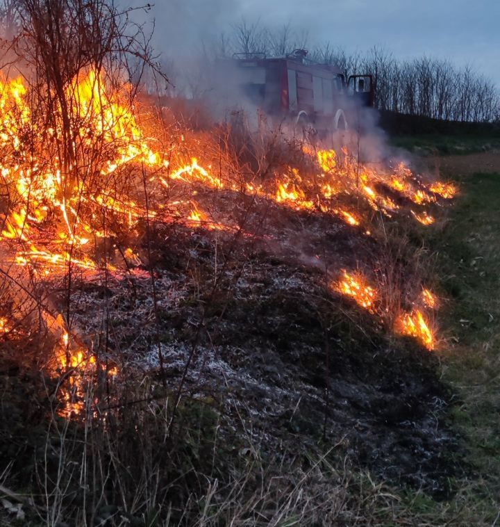 Припадници ДВД "Грушић" спречили да се пожар са обале прошири на воћњаке