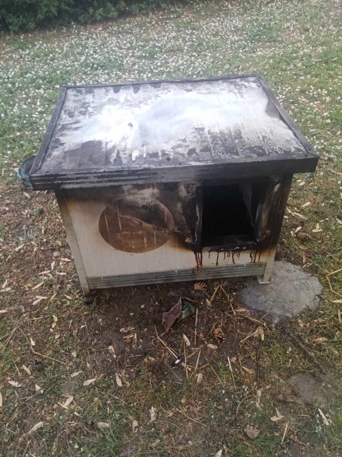 Zapaljena kućica za napuštene pse u parkiću kod Sokolane