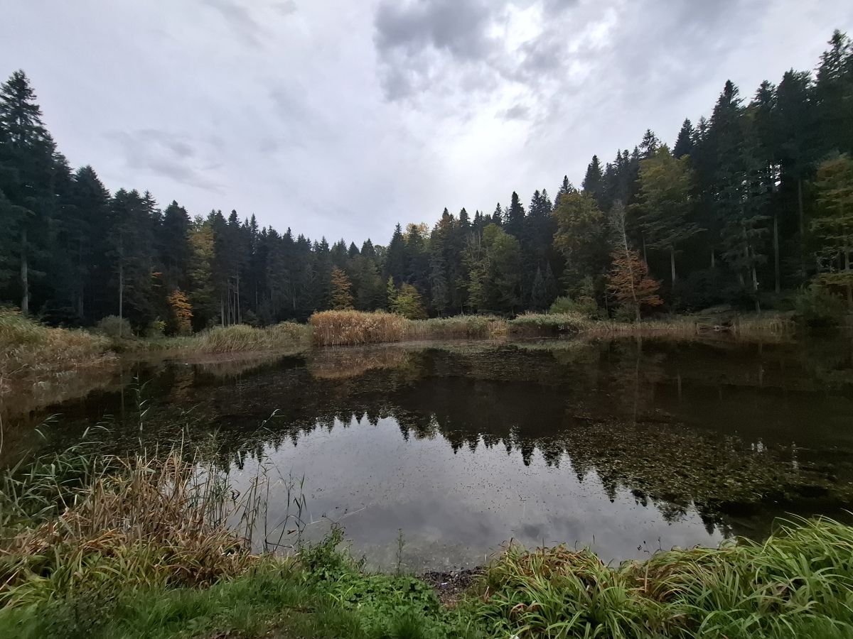 Foto: Glas Podrinja/M.M.