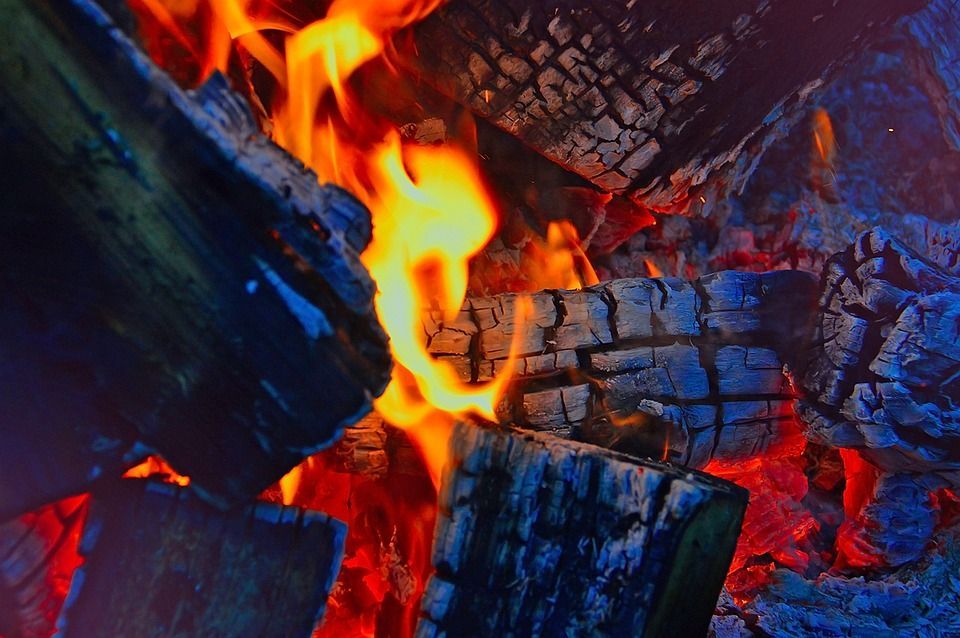 Фото: Pixabay