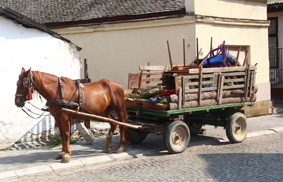 (Foto: Glas Podrinja/J.R.)