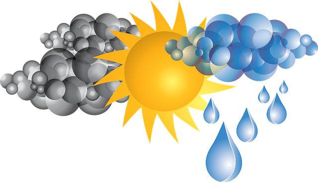 Image by OpenClipart-Vectors from Pixabay