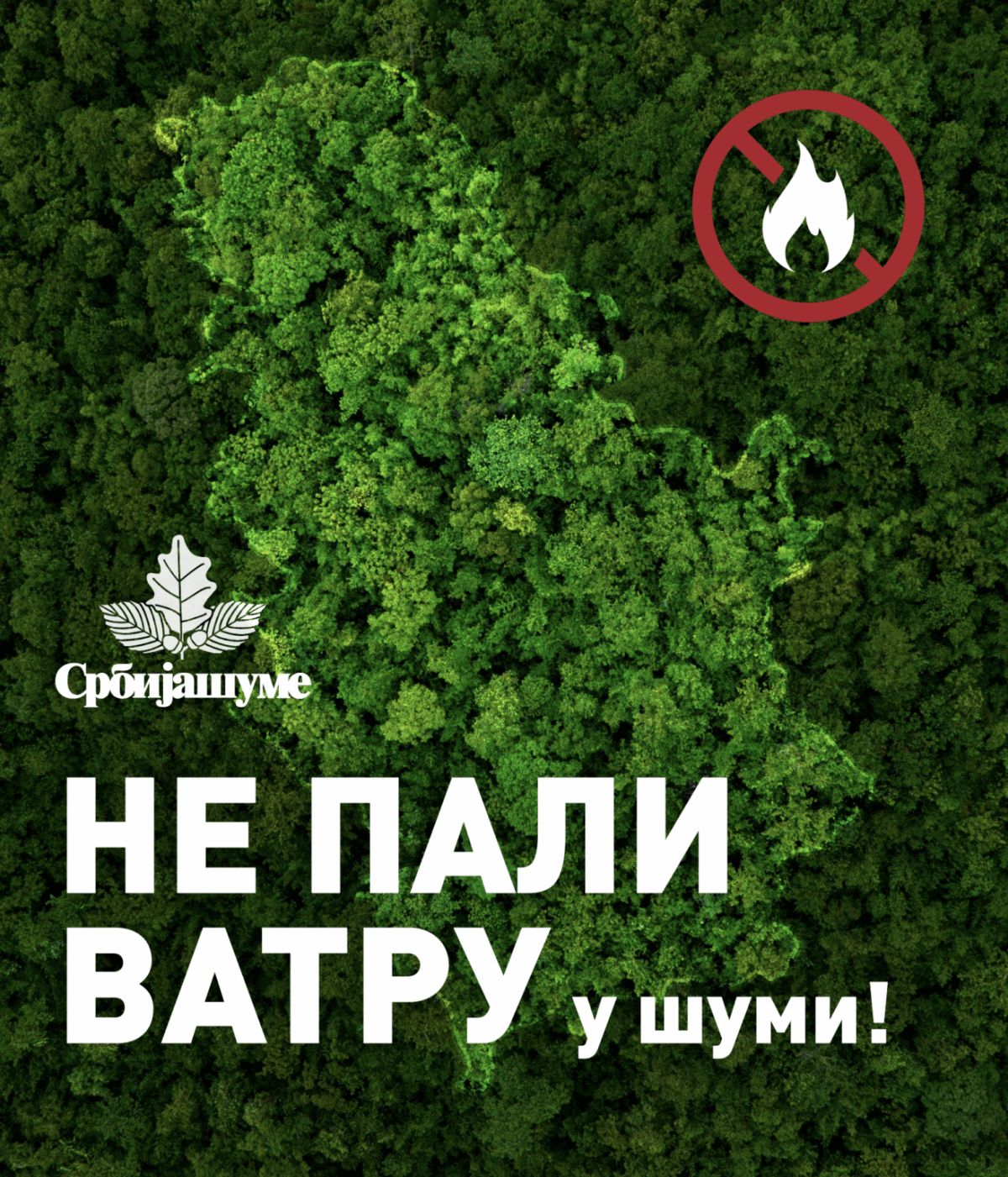 Foto: JP "Srbijašume"