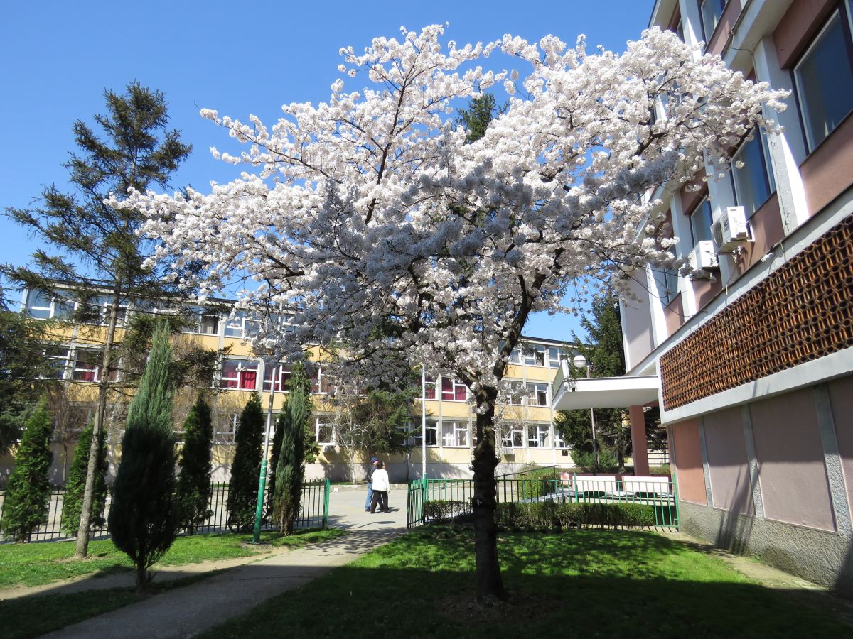 Glas Podrinja