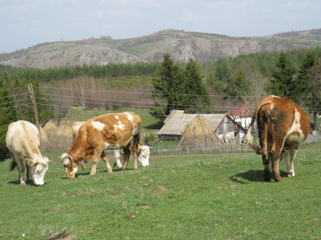 Foto: Ministarstvo poljoprivrede