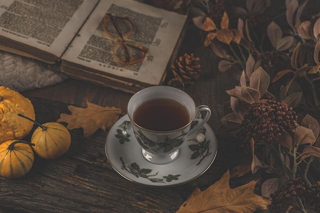 Image by Ylanite Koppens from Pixabay