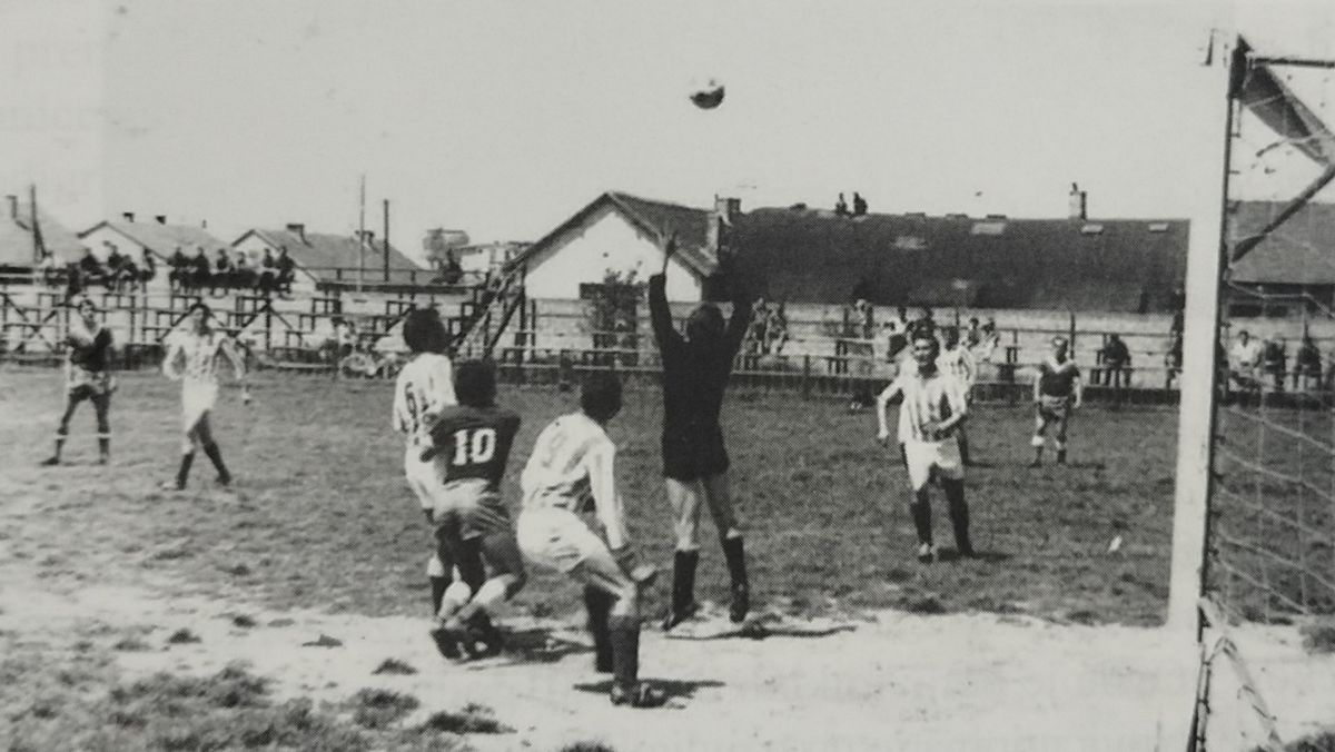 Терен на крају Шаниног шора