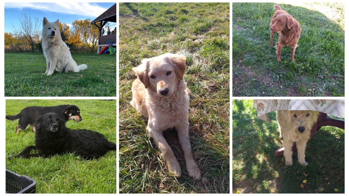 Фото: Приватна архива