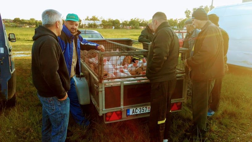 Na pijaci u Bogatiću foto:Mačva info