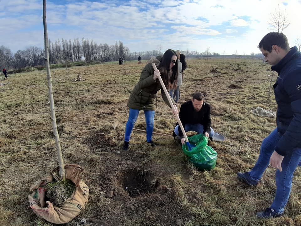 Чланови Савеза младих Шабац засадили 20 стабала