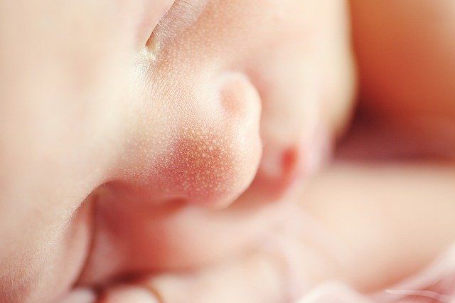 Foto: Pixabay /Beba