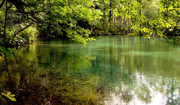 Srbija dobila tri nova zaštićena područja prirode