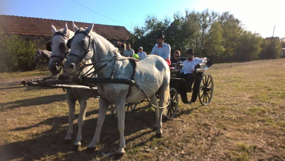 Потврда традиције коњарства у Мачви