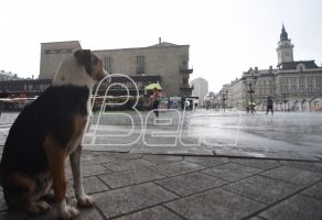 фото: Агенција Бета