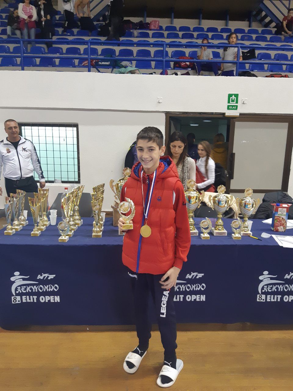 Злато за Крајишника