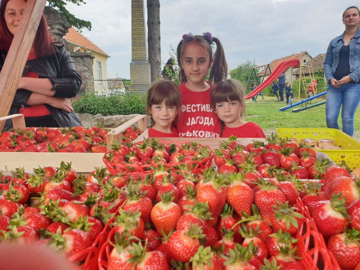 Фестивал јагодa