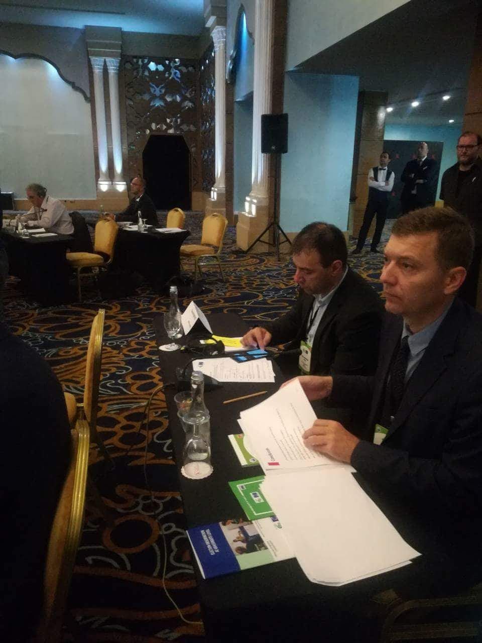 Зеленовић на седници Комитета за мониторинг Савета Европе