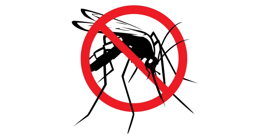 Suzbijanje larvi komaraca u sredu, četvrtak i petak