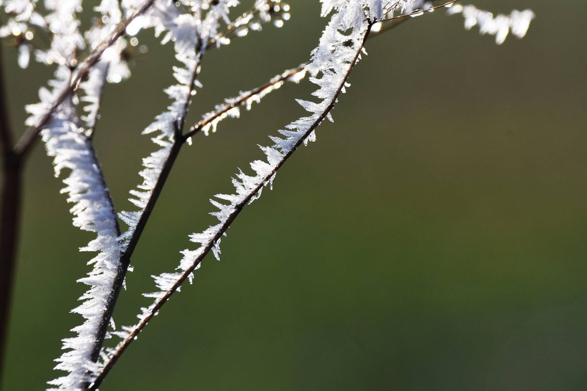 Jutro u slabom mrazu i magli, posle podne sunčano