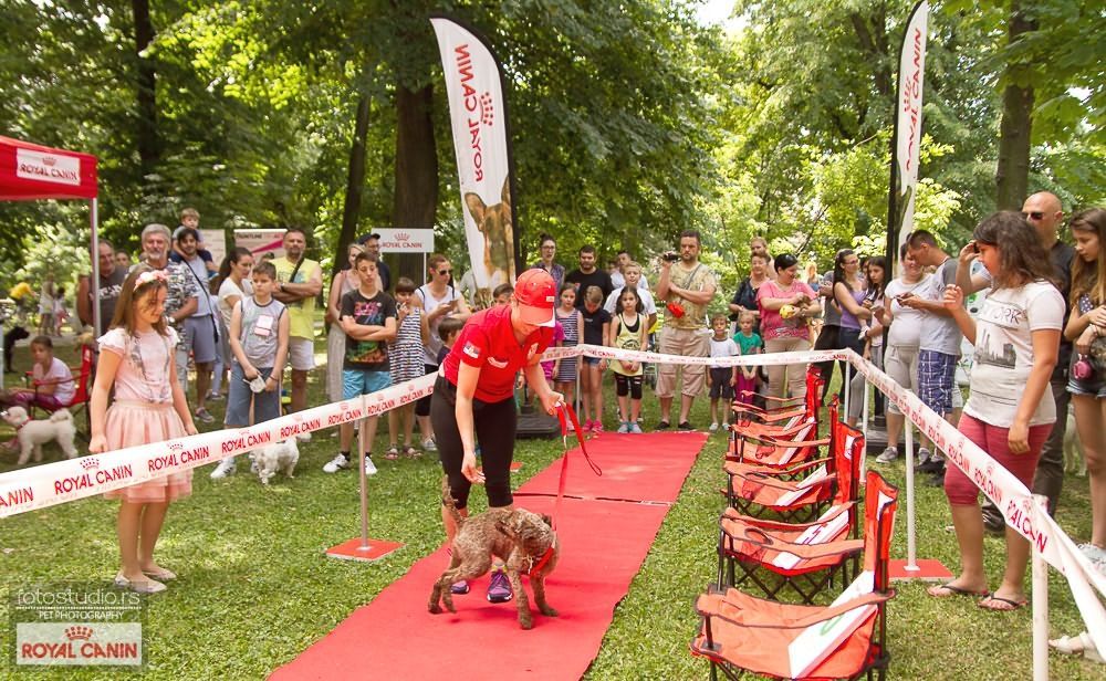"Pet Happening"у Шапцу 2019.