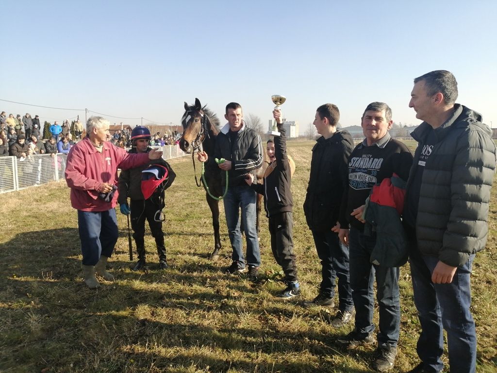 Konji su ponos mačvanske ravnice