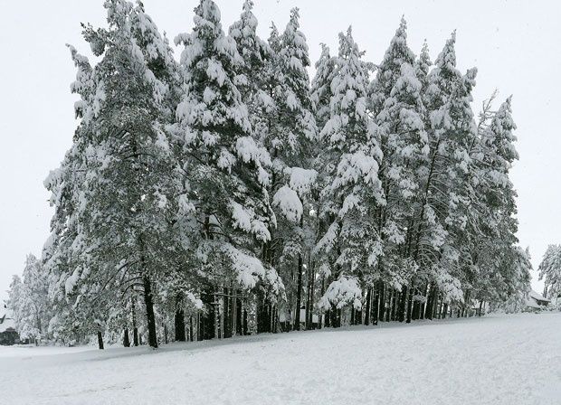 А где се деде човек