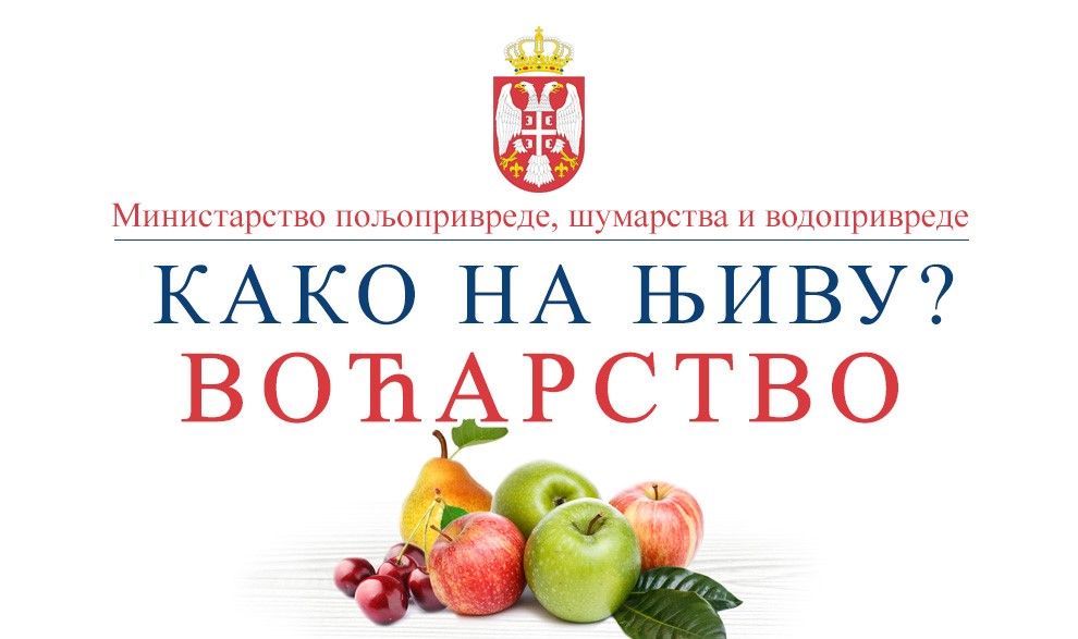 Како до дозволе за кретање: Упутство за произвођаче воћа и поврћа