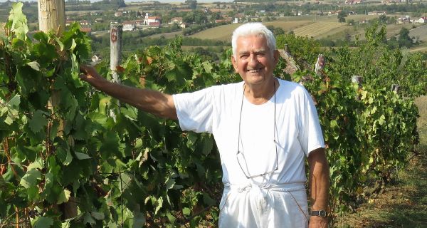 Vinogradarstvo traži  pažnju i posvećenost