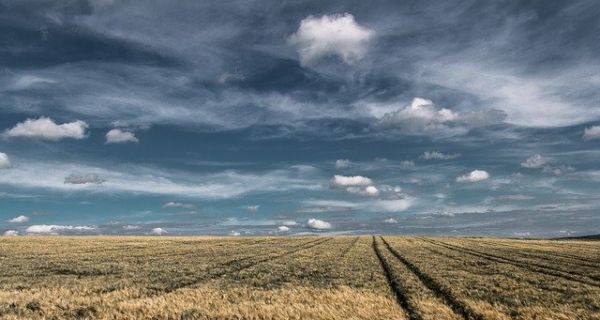 Зашто је важно не палити  жетвене остатке