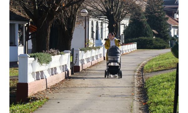 Виша цена уз нижи проценат учешћа