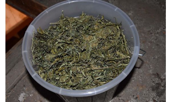 Pronađeno 15 kilograma marihuane