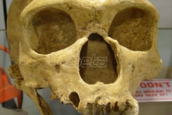 Zubi neandertalaca stari 300.000 godina pronađeni u Sićevačkoj klisuri