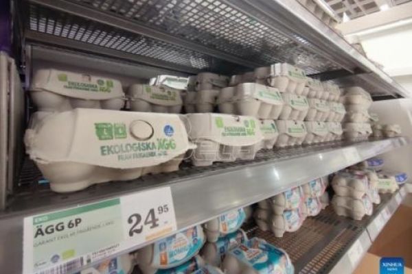 Због украјинске кризе и поскупљења хране Шведској прети несташица јаја