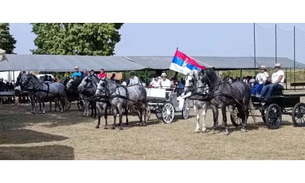 Susret zaljubljenika u fijakere