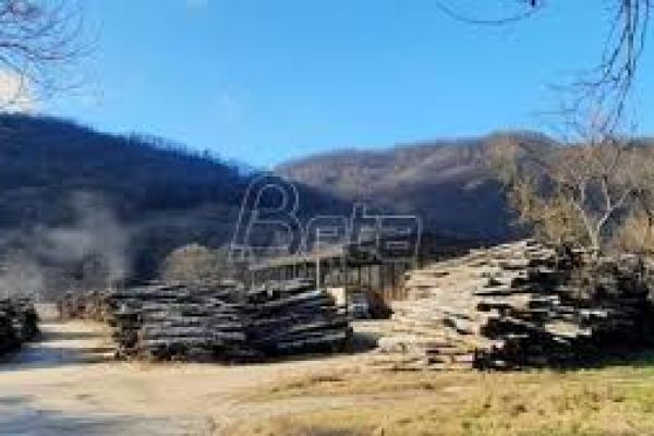 Михајловић: Ограничили смо цену пелета на 320 евра по тони, забранили извоз